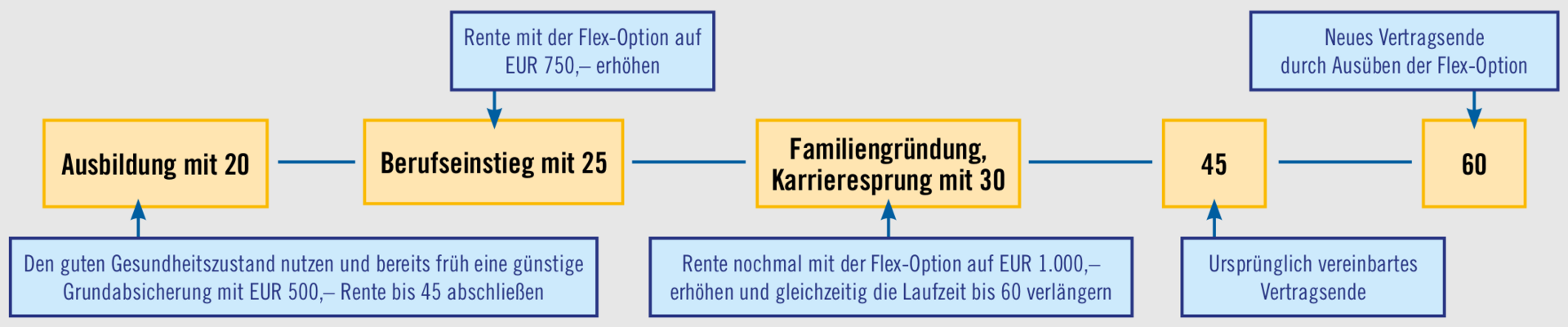 Beispiel Flex-Option (Infografik)